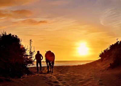 Sonnenuntergangsritt der Taziri kids riding school