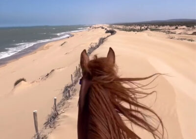 Das Bild zeigt, aus der Sicht der Reiters, den Strand von Tanger