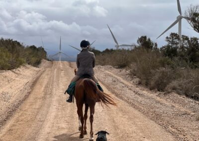 Das Bild zeigt eine Gruppe Reiter in Marokko. Sie machen eine Ausflug mit Taziri riding school