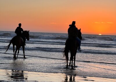 Das Bild zeigt zwei Touristen auf Pferden , in Tanger am Strand, an der Wasserkante.