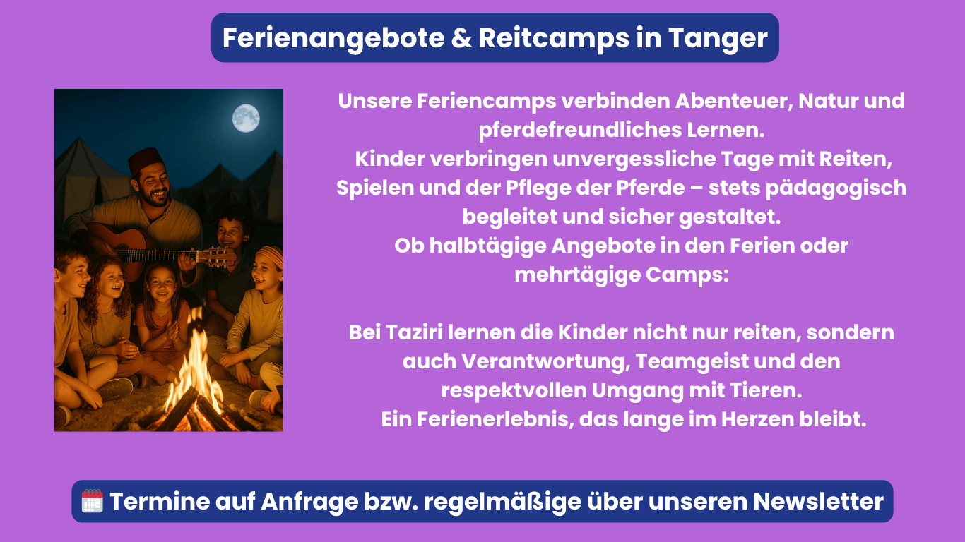 ferienangebote reitcamps taziri tanger