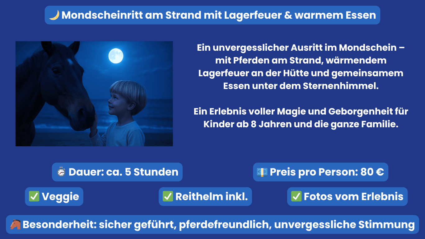 mondscheinritt taziri marokko angebote