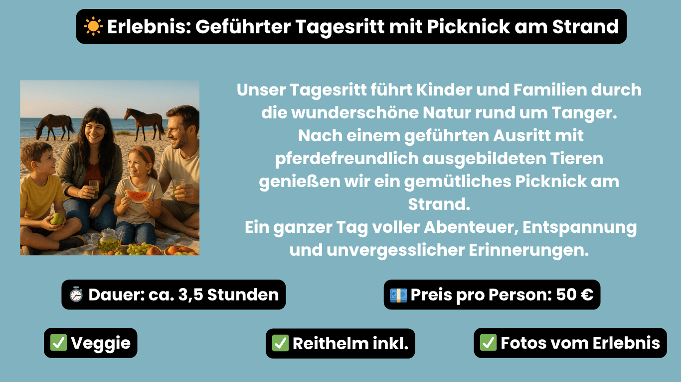 taziri angebote tagesritt