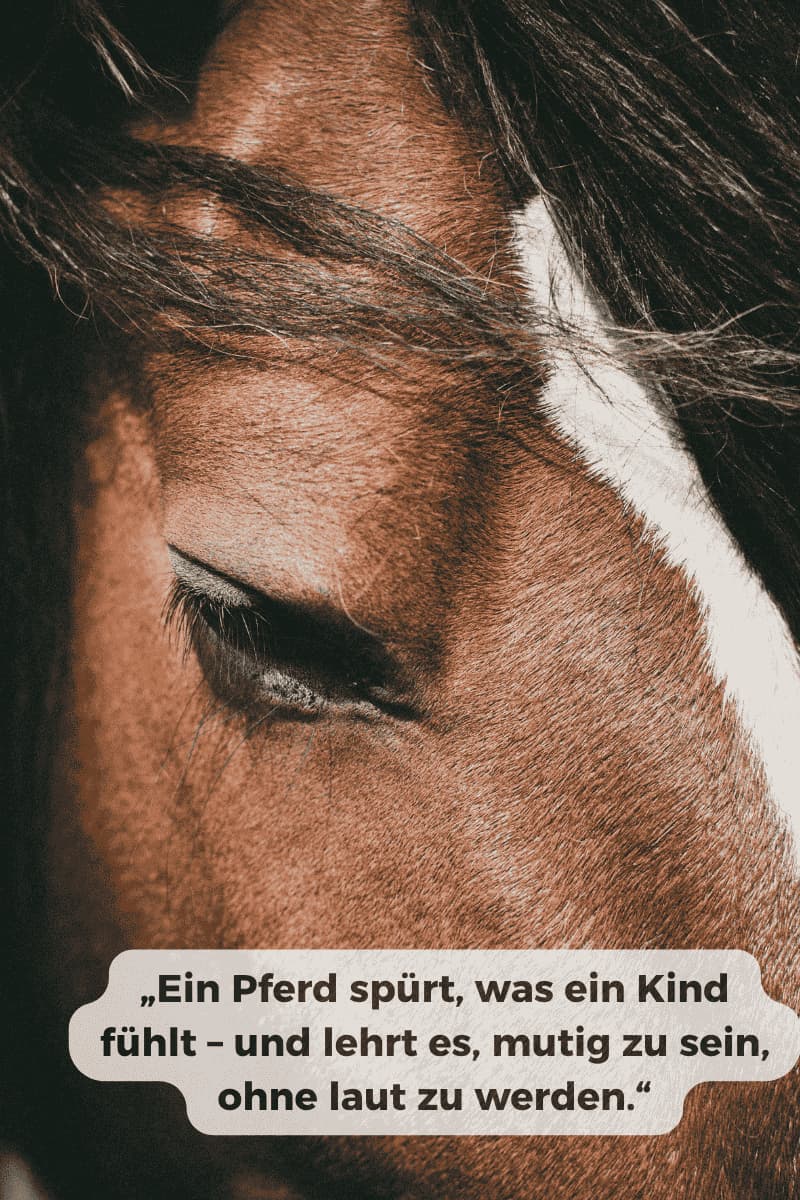 Nahaufnahme eines Pferdeauges mit Zitat über Vertrauen zwischen Kind und Pferd, Symbol für die Taziri Philosophie in Tanger.