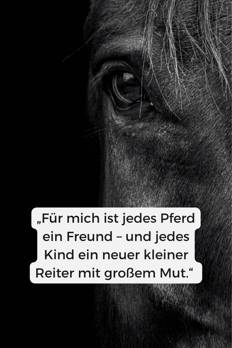 Nahaufnahme eines Pferdeauges mit Zitat über Freundschaft und Mut beim Reiten, Taziri Kids Riding School Tanger